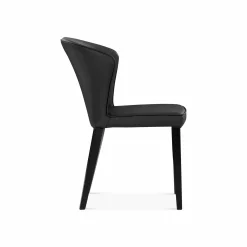 Coelho - Leather Dining Chair