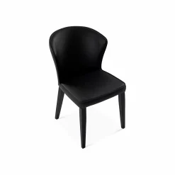 Coelho - Leather Dining Chair