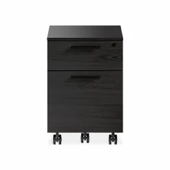 Linea 6227 - Mobile Filing Cabinet by BDI