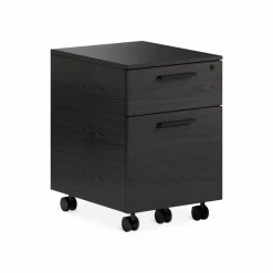 Linea 6227 - Mobile Filing Cabinet by BDI