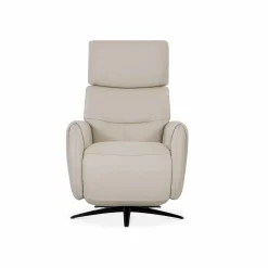 Skinner - Power Recliner with Swivel Base