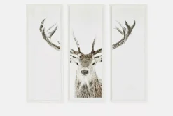 Stag - Set of Three Printed Frames