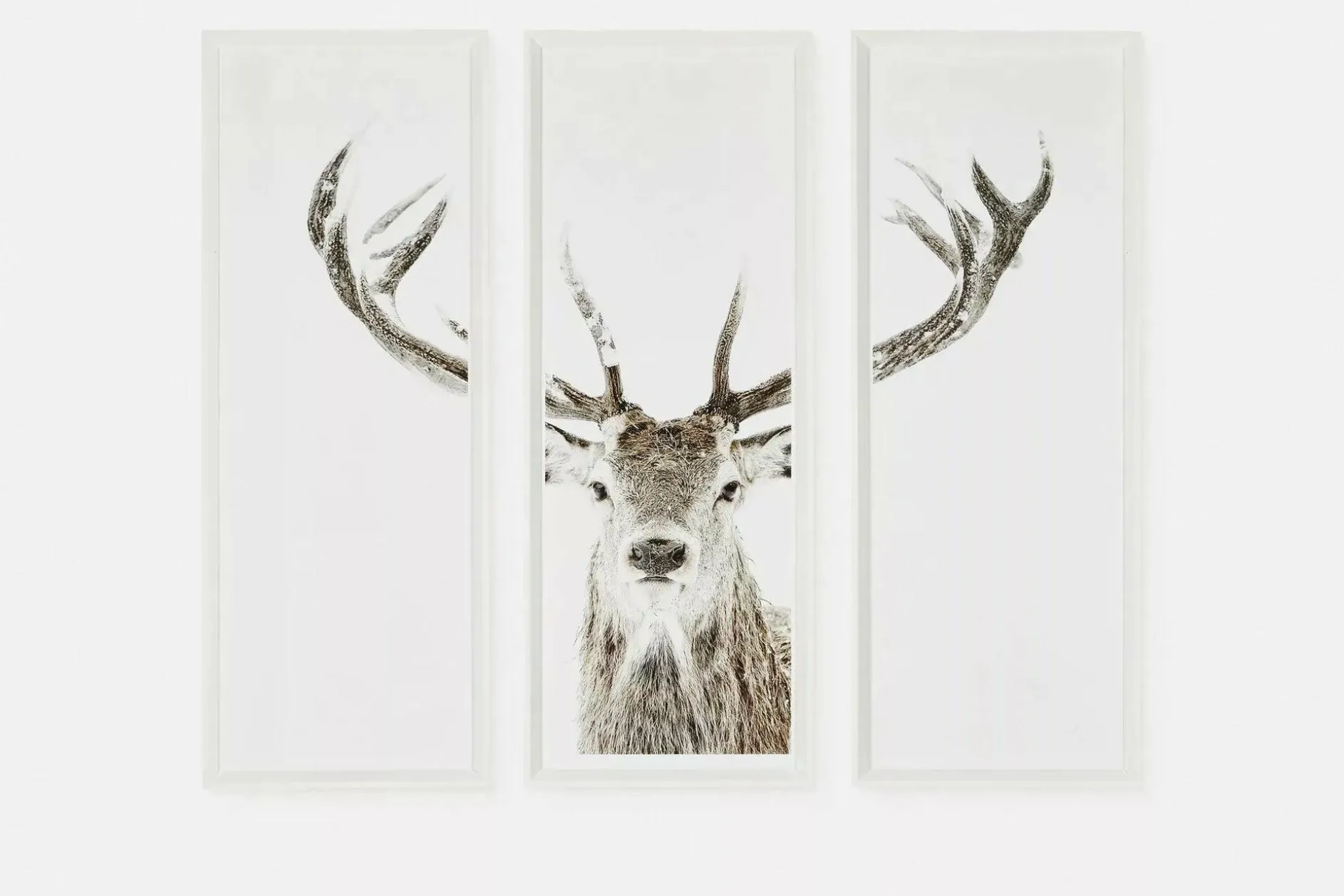 Stag - Set of Three Printed Frames