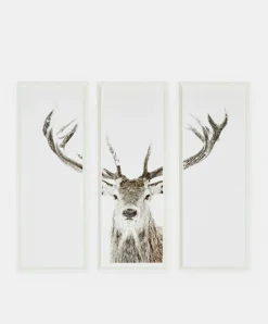 Stag - Set of Three Printed Frames