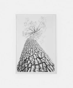 Standing Tall - Frame with Print