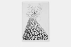 Standing Tall - Frame with Print