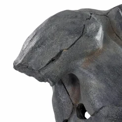 Torso - Decorative Statue
