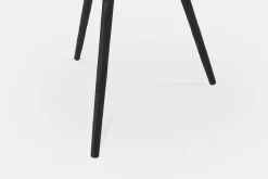 Trula